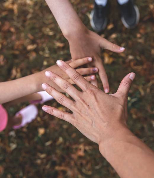 Two children's hands and one adult's hand, the concept of family, friendship.